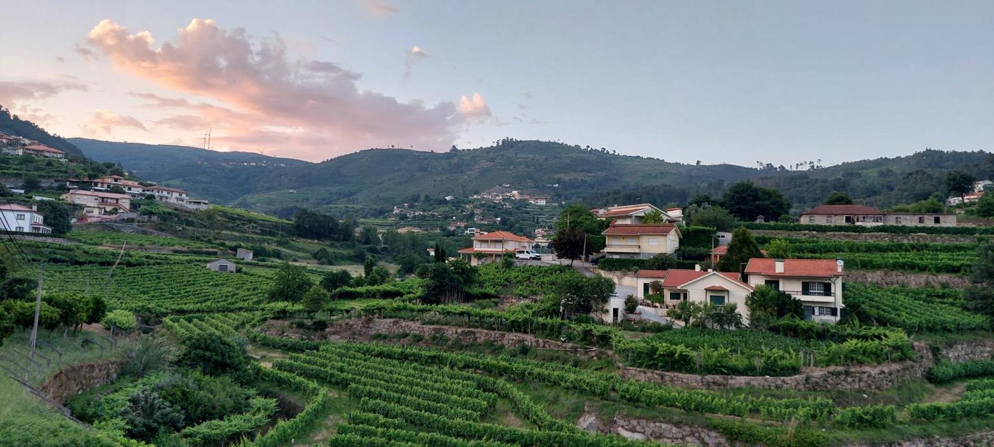 Quinta Dos Castros Douro Villa Baião Exterior photo
